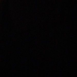 Meet your Posher, Cheyenne